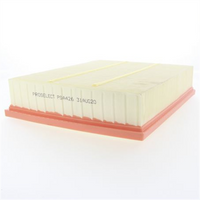 PROSELECT Air Filter