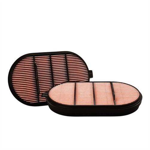 Donaldson Air Safety Powercore PSD10