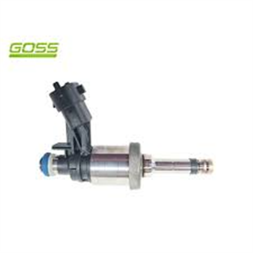 Goss INJECTOR - DIRECT INJ. NEW PID023