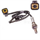 FUELMISER OXYGEN SENSOR