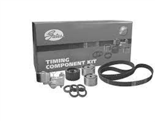 Gates INJECTOR PUMP BELT SERENA CD20 101X19