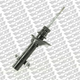 MACKAY STRUT REFLEX -PR