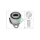 FAG D/B PULLY TENSIONER ASSY HOL ASTR