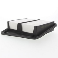 PROSELECT Air Filter