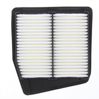 PROSELECT Air Filter
