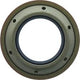 Oil Seal 97784