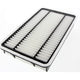Proselect Panel Air Filter - PSA442