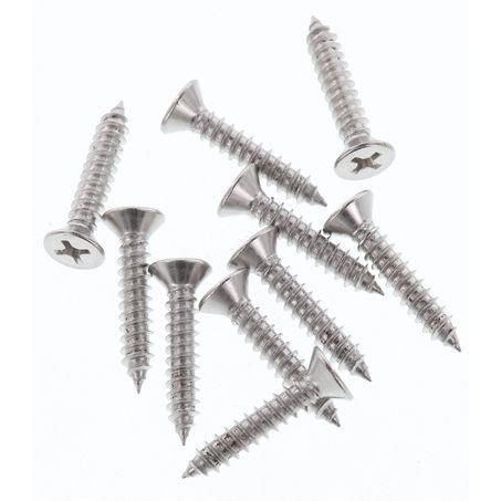 CHAMPION AUTO PARTS Champion Self Tapping Screw Pack 10G x 1in. CSP08