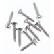 CHAMPION AUTO PARTS Champion Self Tapping Screw Pack 10G x 1in. CSP08