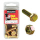 CHAMPION AUTO PARTS Champion Nut & Bolt Pack 1in. x 3/8in. UNF BF33