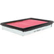 Repco Air Filter RAF305