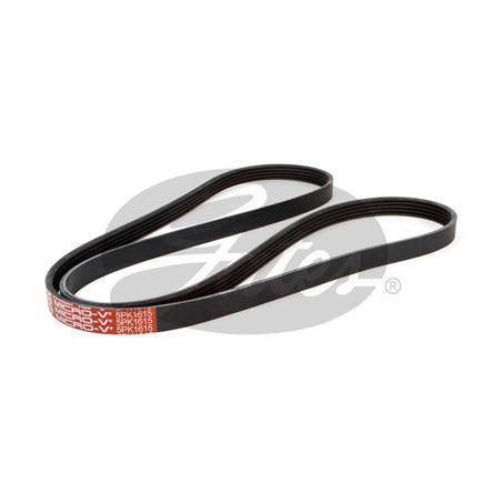 Gates Drive Belt 5PK1615