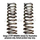 DRIVETECH 4X4 Coil Spring Set - Constant Load