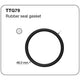 Tridon Thermostat Housing Gasket TTG79