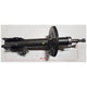 CODE9 Strut 9260201