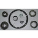 Differential Overhaul Kit DT-DBK7B