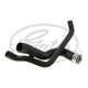 Gates Radiator Hose 05-2576