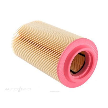 Repco Air Filter RAF594