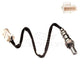 OEX  Oxygen Sensor OOS1149