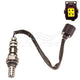 OEX  Oxygen Sensor OOS1143