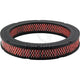 Repco Air Filter RAF122