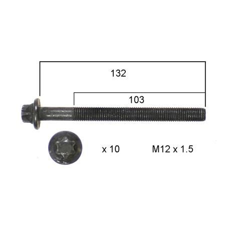 Permaseal Cylinder Head Bolt Set HBS253