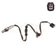 OEX  Oxygen Sensor OOS1142