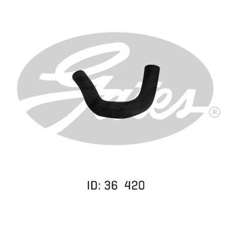 Gates Radiator Hose Lower 05-0014