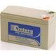 CENTURY BATTERIES Century Battery PS1270S