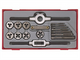 TENG TOOLS 17PC TAP & DIE SET METRIC