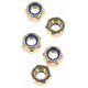 CHAMPION AUTO PARTS Champion Nyloc Nut Pack M10 x 1.00 SLM165