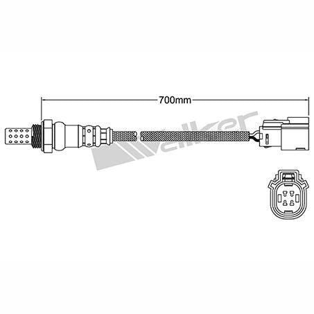 OEX  Oxygen Sensor OOS5031
