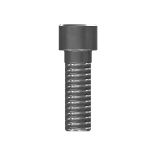 Dayco Bolt