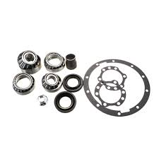 Overhaul Kit Differential DT-DBK17