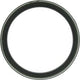 Oil Seal 97249