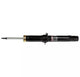Suspension Strut - OE Spectrum 742021SP