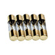 Raptor AGU 80 Amp Fuses (5-Pack) | Glass Tube Fast-Blow Car Audio Fuses