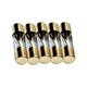 Raptor AGU 40 Amp Fuses (5-Pack) | Glass Tube Fast-Blow Car Audio Fuses