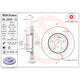 RDA Brakes Standard Front Disc Brake Rotor Vented 305mm - RDA8717